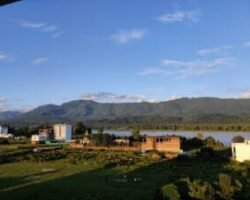 Image Gallery