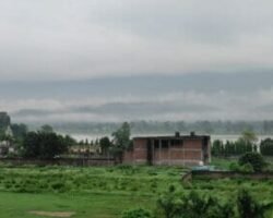 Image Gallery